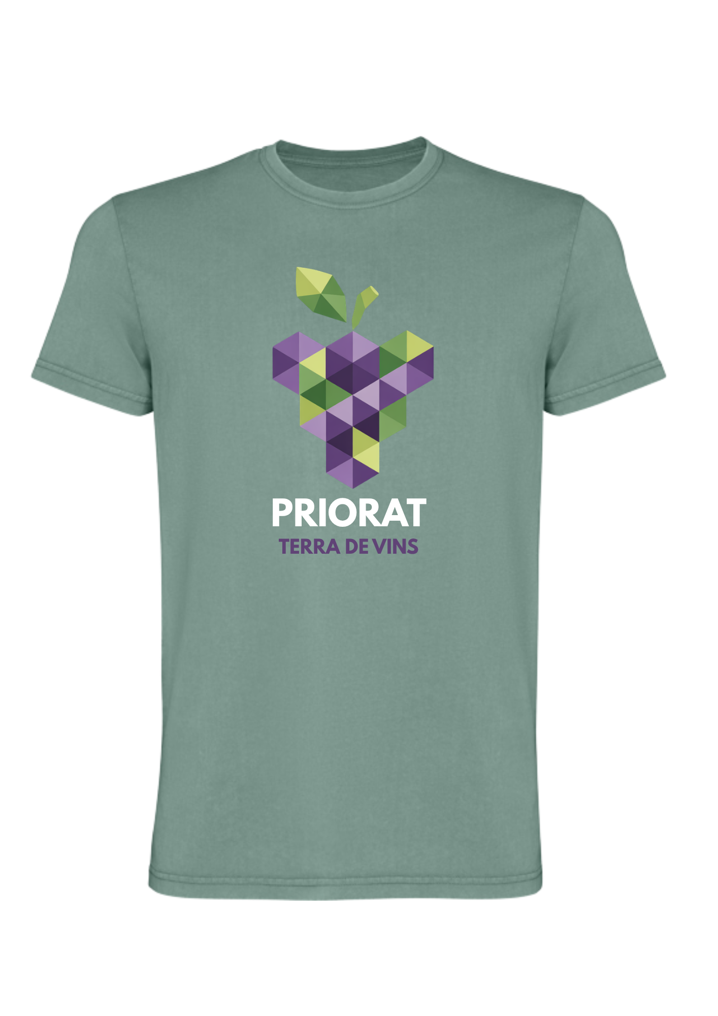 Camiseta Priorat Gotim