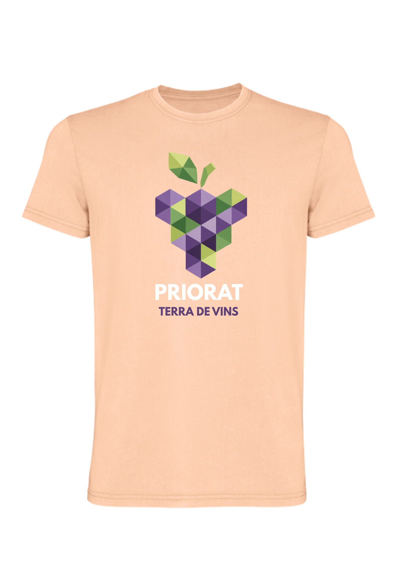 Camiseta Priorat Gotim