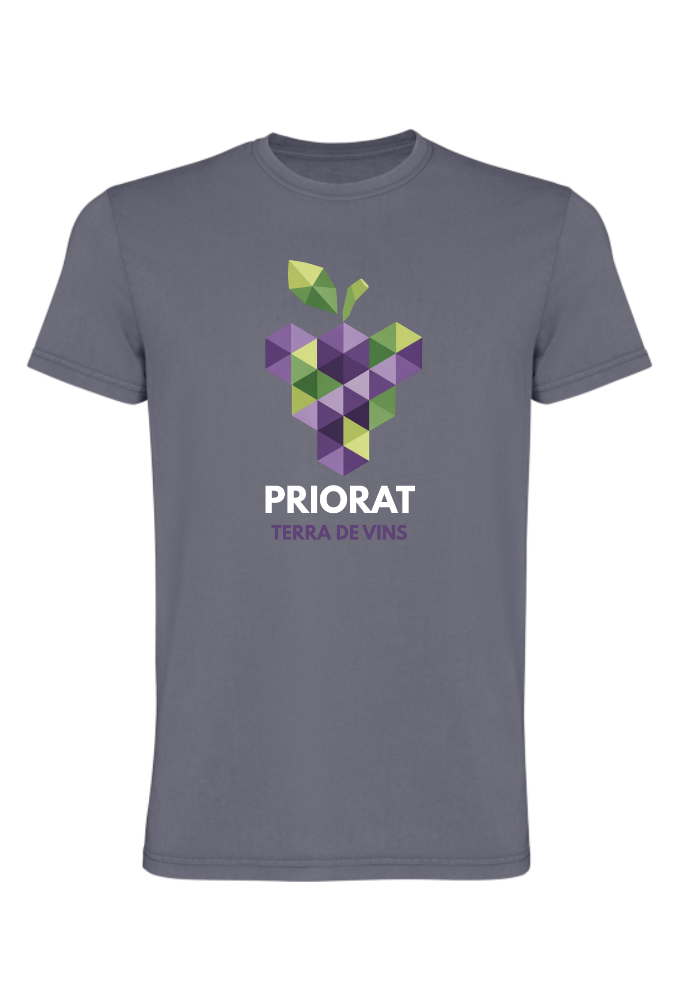 Camiseta Priorat Gotim